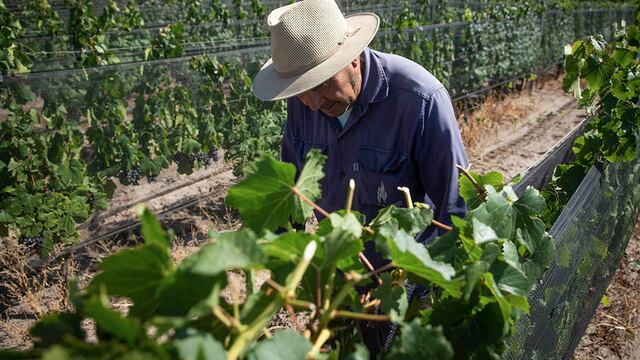 Foto: Ignacio Blanco / Los Andes