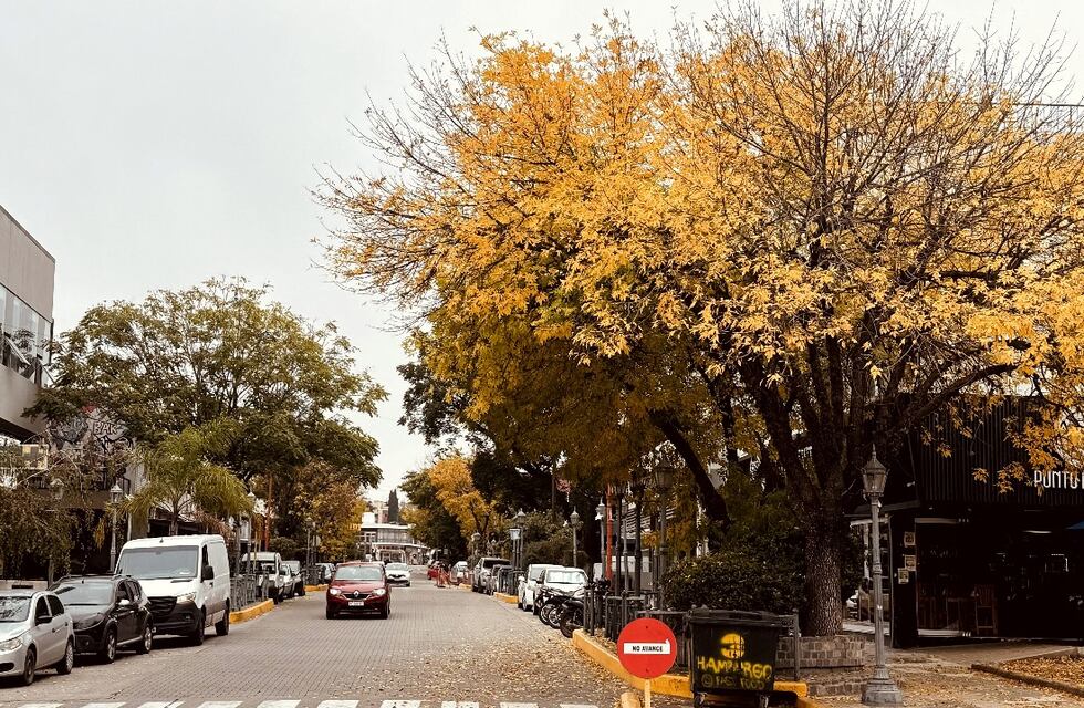 Clima otoñal en Punilla con máxima de 16 grados y cielo parcialmente nublado