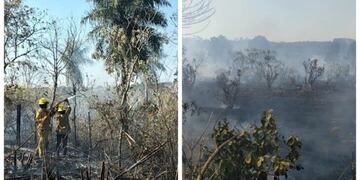 Preocupación ante los múltiples focos de incendio en Oberá.