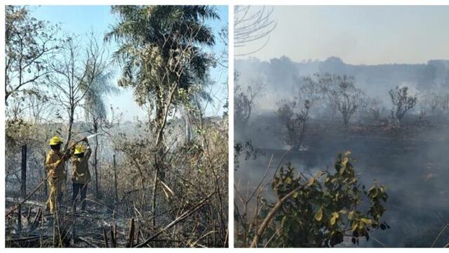 Preocupación ante los múltiples focos de incendio en Oberá.