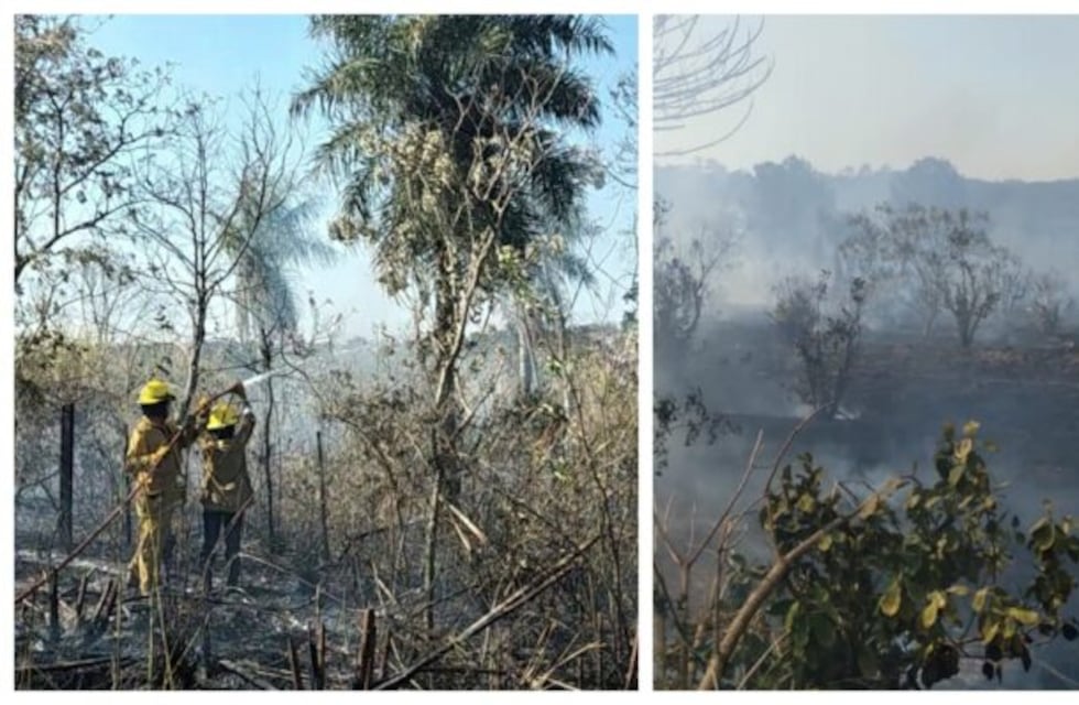 Preocupación ante los múltiples focos de incendio en Oberá