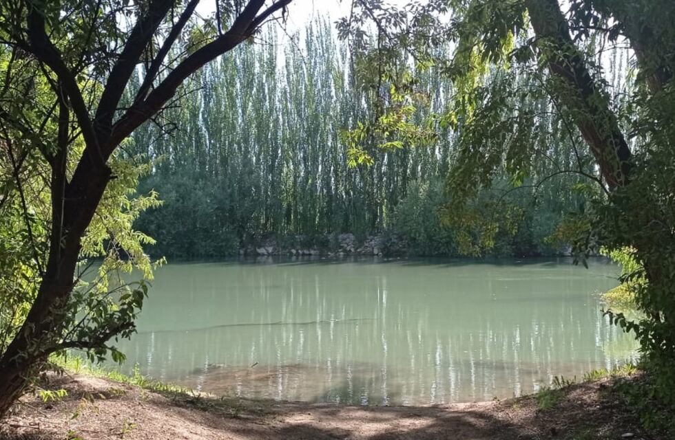 Video: caminaba por Parque Agreste y se encontró con un extraño animal