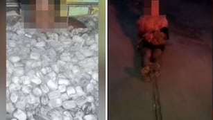 Las torturas del Comando Vermelho