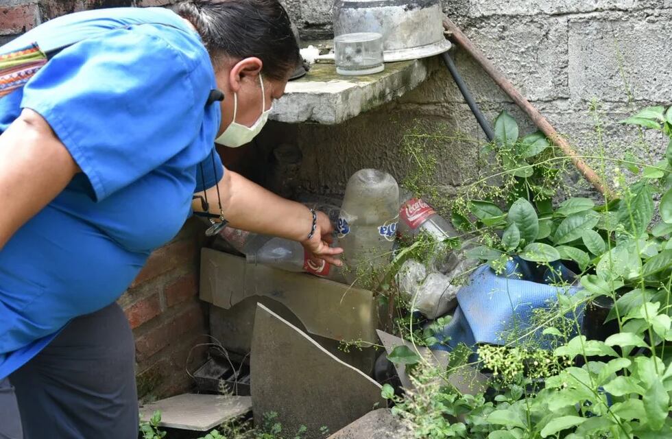 ¿Cómo prevenir el dengue en nuestras casas?