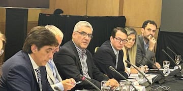 Abad participa del Consejo Federal, en representación de la provincia.