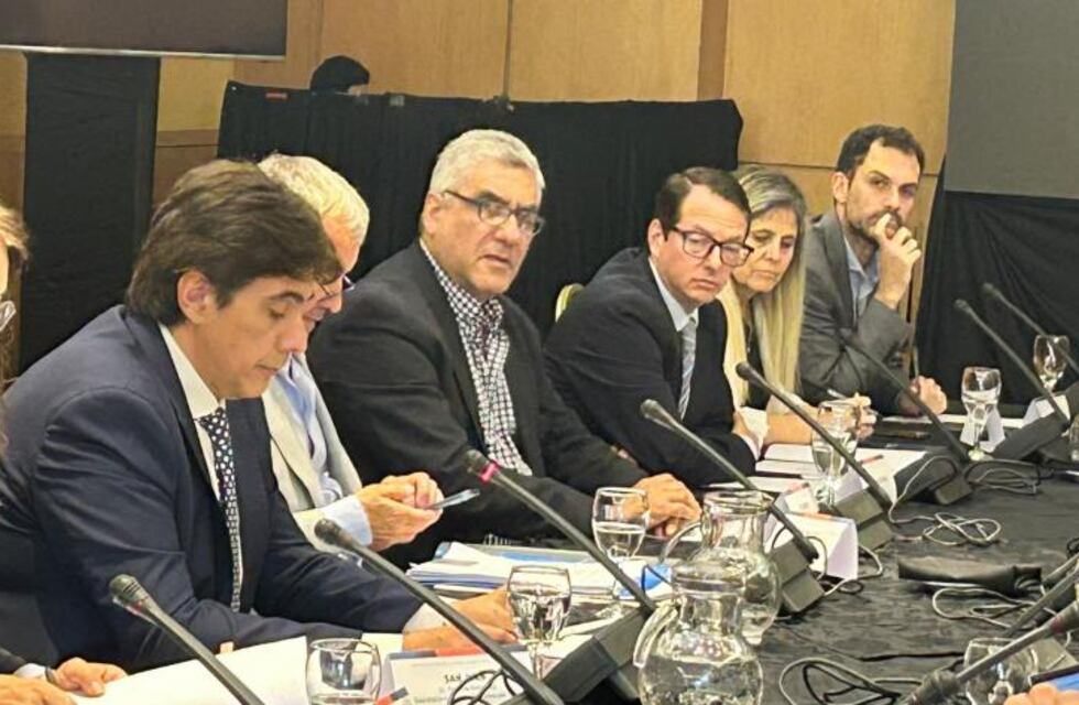 Abad representa a Tucumán en la reunión del Consejo Federal de Responsabilidad Fiscal