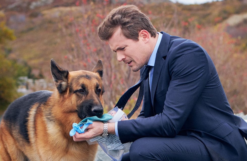 De qué trata Hudson & Rex, la exitosa serie policial canadiense: cuándo y dónde ver la temporada 2