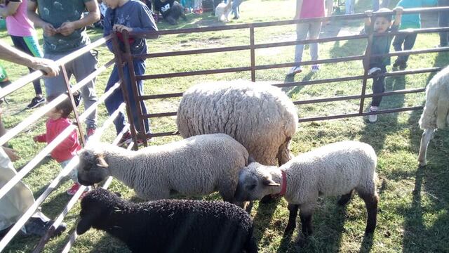Feria rural de Villa Arias