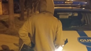 Detenido por cortar cables en el barrio Mora