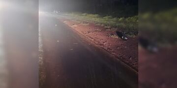 Falleció un adolescente tras el despiste de una motocicleta en la Ruta Provincial 103.