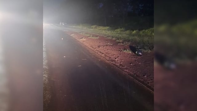 Falleció un adolescente tras el despiste de una motocicleta en la Ruta Provincial 103.