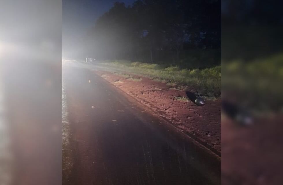 Falleció un adolescente tras el despiste de una motocicleta en la Ruta Provincial 103