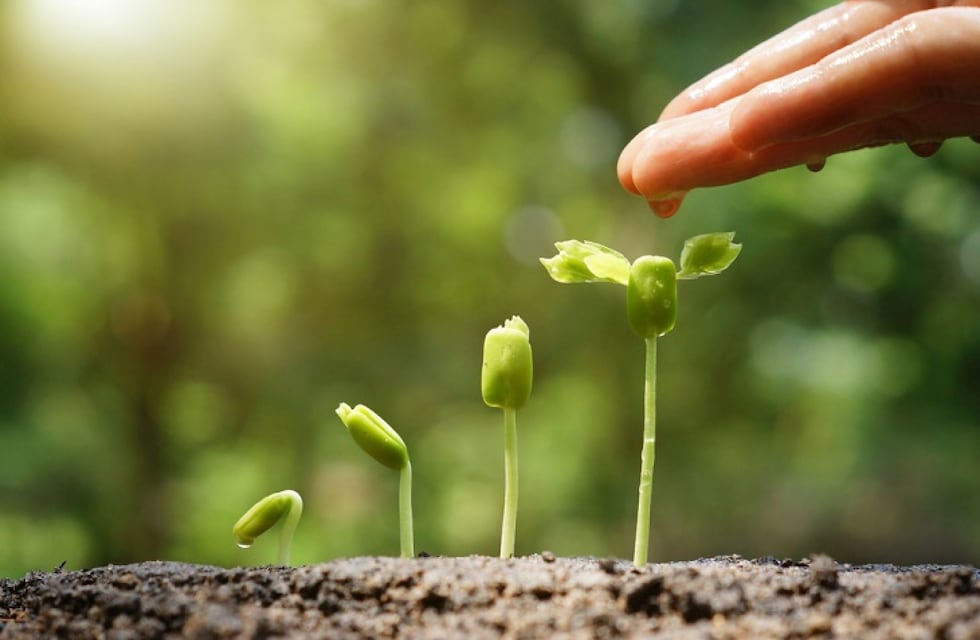 ¿Qué es la Fenología?