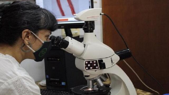 Facultad de Ciencias Forestales: vuelven los ámbitos de investigación con rigurosos protocolos