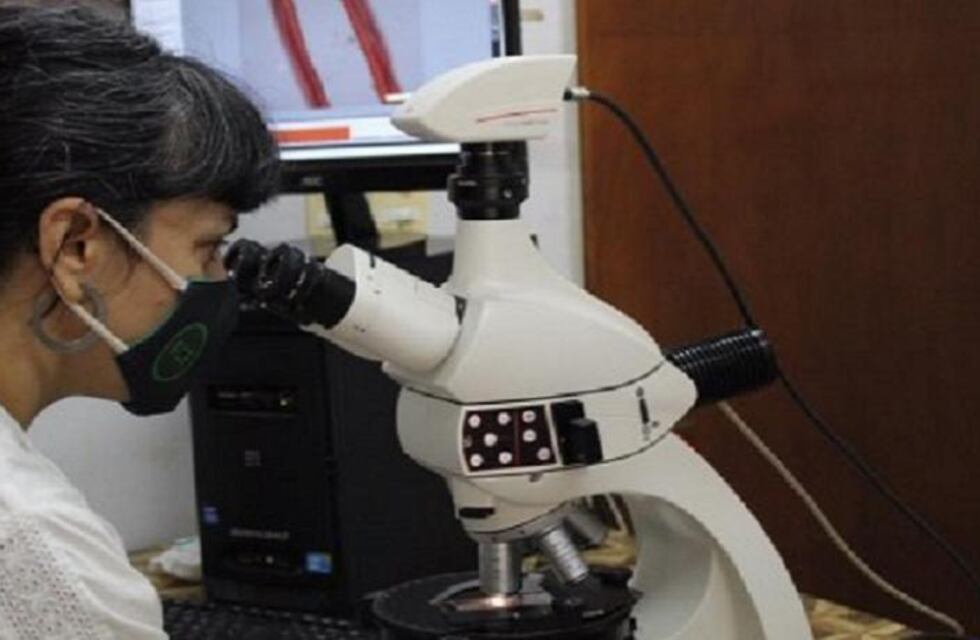 Facultad de Ciencias Forestales: vuelven los ámbitos de investigación con rigurosos protocolos