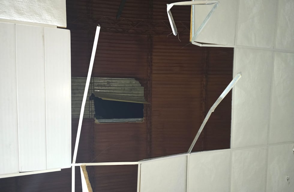 Intentó rescatar a un gato y cayó desde un techo en Córdoba: el grave estado de salud