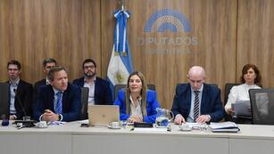 El presidente de la Oficina de Presupuesto del Congreso, Gabriel Esterelles (izquierda) y la diputada del PRO Silvia Lospennato (Foto: HCDN)