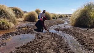 En Tres Cruces, los técnicos de Agua Potable de Jujuy tomaron y analizaron muestras del agua de la zona.