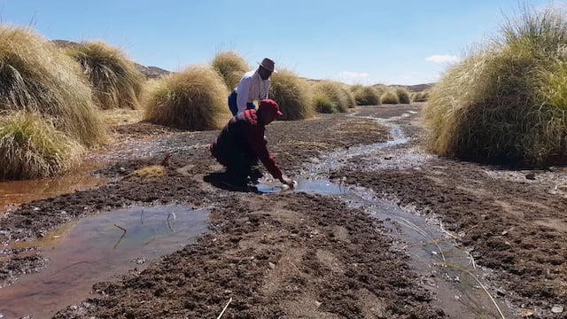 En Tres Cruces, los técnicos de Agua Potable de Jujuy tomaron y analizaron muestras del agua de la zona.