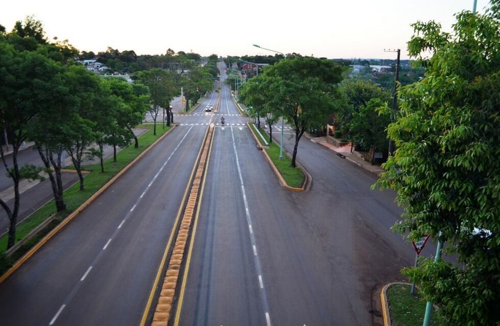 Instalan señalética vial en Leandro N. Alem