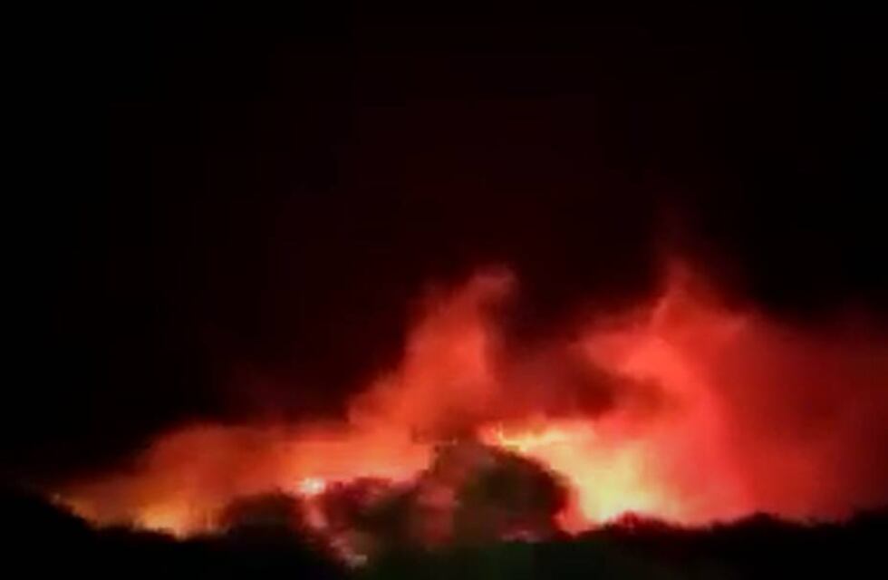 Córdoba bajo el fuego: la lluvia apagó el incendio en Tala Cañada