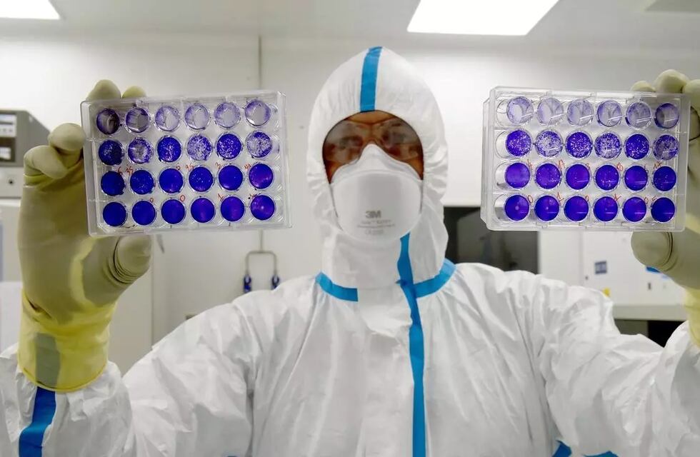 La Anmat se dispone a aprobar la vacuna de AstraZeneca