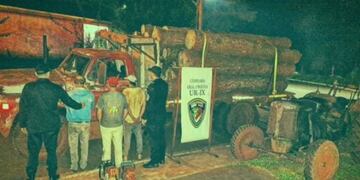 Recuperan madera proveniente de apeo ilegal en Santa María y General Urquiza.