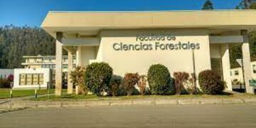 Mejoras en Ciencia y Técnica para la Facultad de Ciencias Forestales
