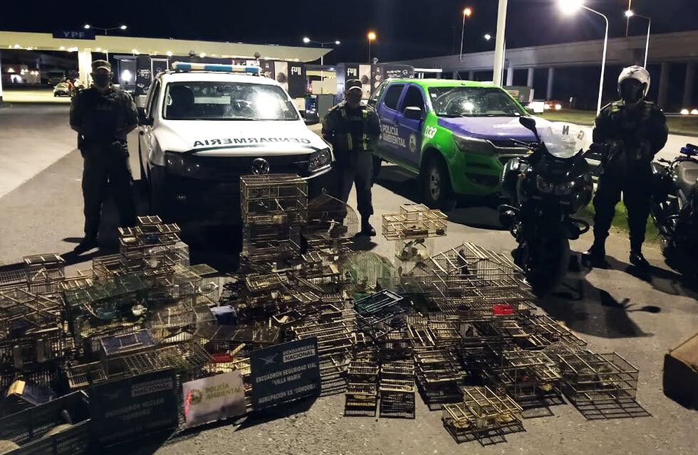 Rescataron a más de 200 animales silvestres que estaban en cautiverio en Marcos Juárez