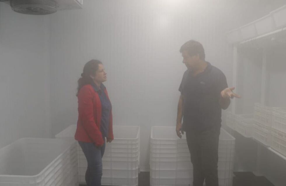 El gobierno chaqueño inauguró centro de envasado de pescados en Puerto Bermejo