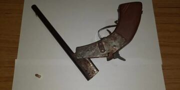 Guaraní: hallaron cocaína escondida en un corral de cerdos.