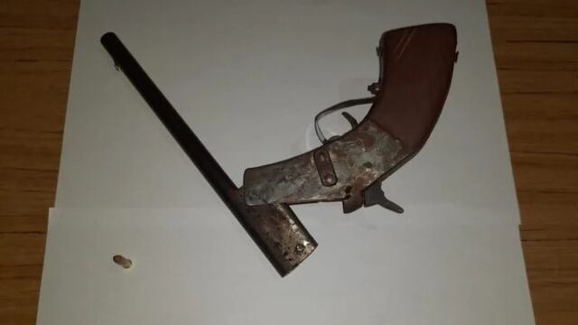 Guaraní: hallaron cocaína escondida en un corral de cerdos.