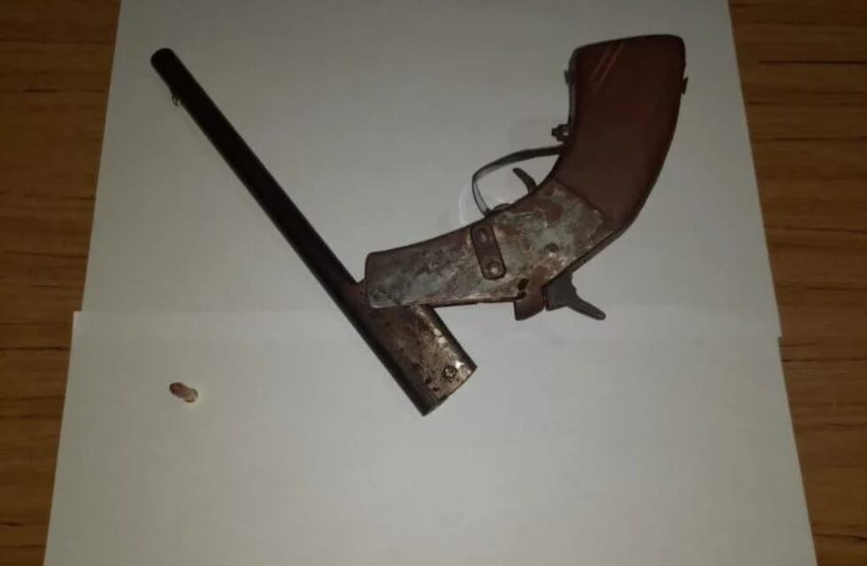 Guaraní: hallaron cocaína escondida en un corral de cerdos