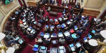 El Senado aprobó por unanimidad la declaración sobre el conflicto diplomático con Chile (Foto Comunicación Senado)