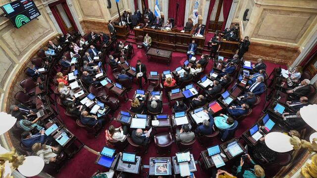 El Senado aprobó por unanimidad la declaración sobre el conflicto diplomático con Chile (Foto Comunicación Senado)
