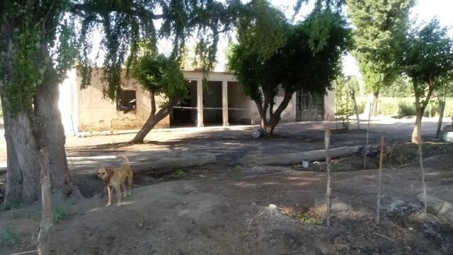Al hombre lo encontró un vecino de 13 años.