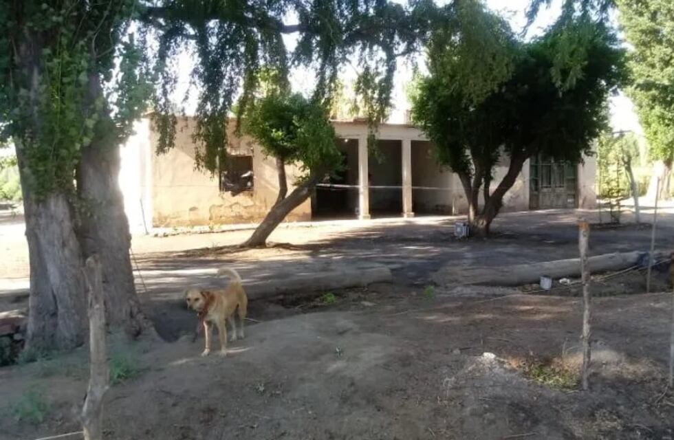 Un anciano de 60 años fue asesinado a puntazos en San Juan
