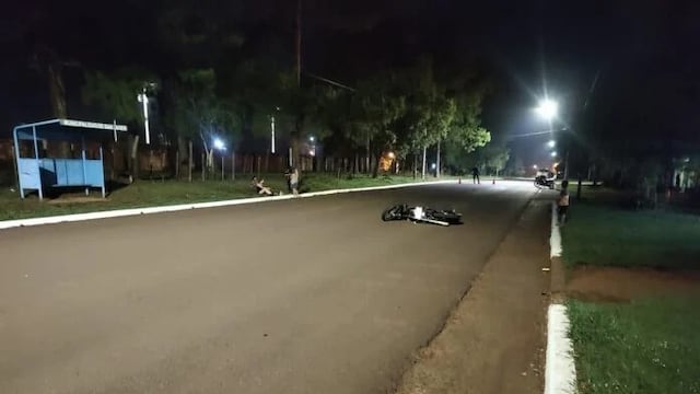 Una motociclista resultó gravemente herida tras chocar contra un perro en Leandro N. Alem.