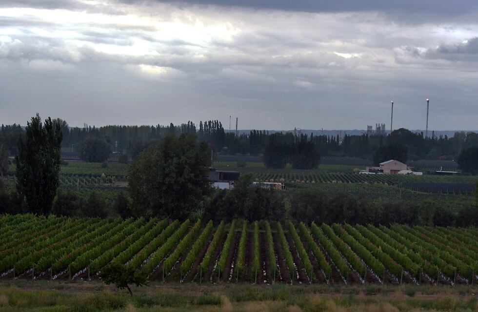 Clima en Mendoza: será un lunes caluroso con posibilidad de lluvias aisladas