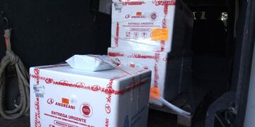 Llegaron 3.000 dosis de la Sputnik V (APN)
