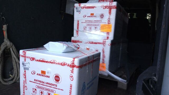 Llegaron 3.000 dosis de la Sputnik V (APN)