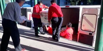 15.300 dosis de vacunas contra el coronavirus llegaron a Tucumán