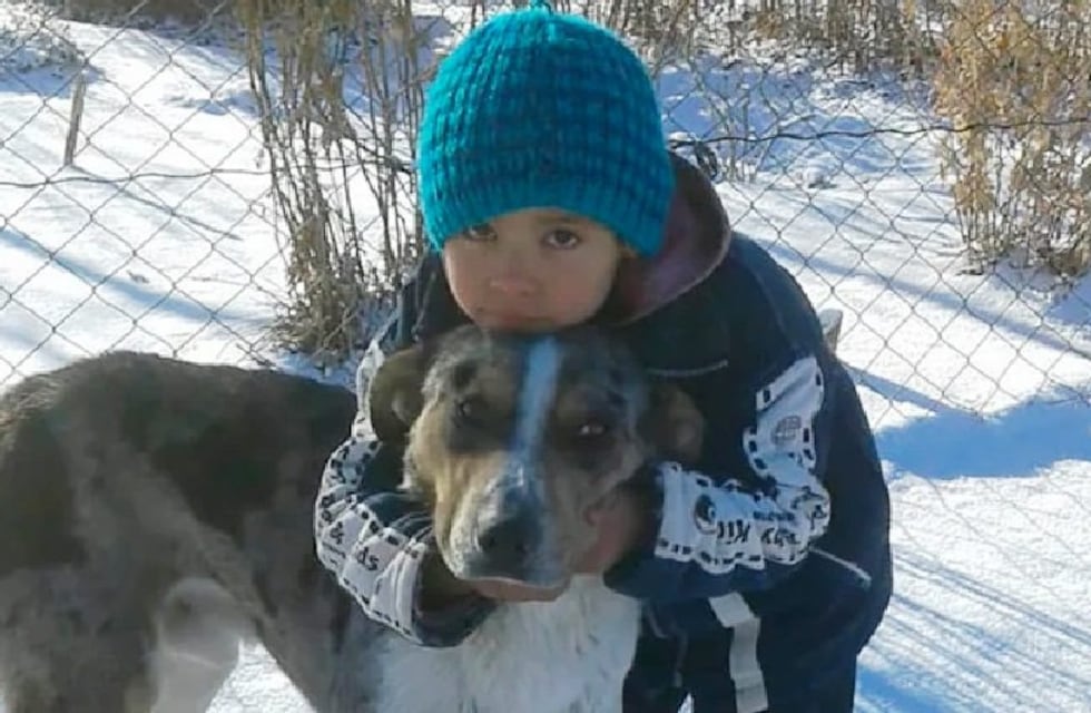 Damir tiene 7 años y a diario camina 10 kilómetros en el campo para asistir a clases