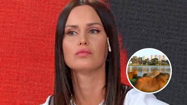 Tras llorar por los carpinchos en Nordelta, Natalie Weber encendió la polémica: "Si un carpincho me llega a..."