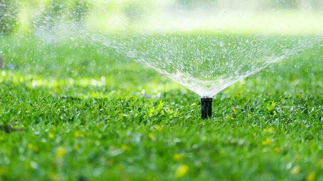 Día Mundial del Agua: qué tan importante es el rol del riego en tiempos de sequía.