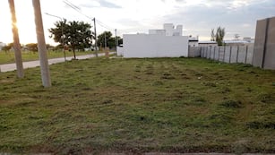 Trabajos de limpieza de lotes