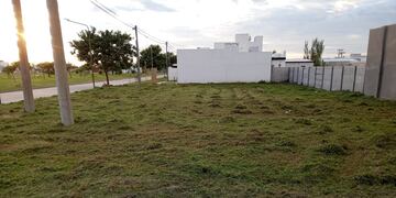 Trabajos de limpieza de lotes