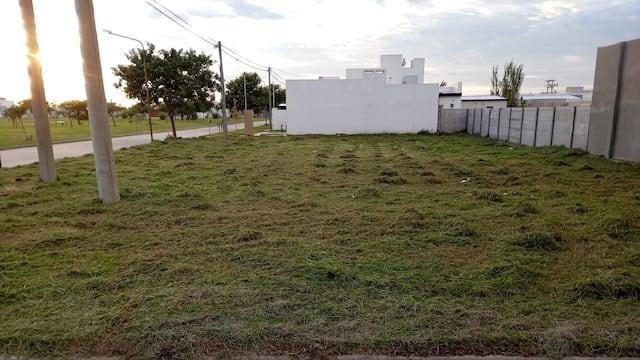 Trabajos de limpieza de lotes