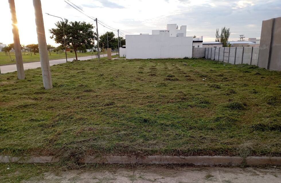 Operativo récord de limpieza en terrenos baldíos