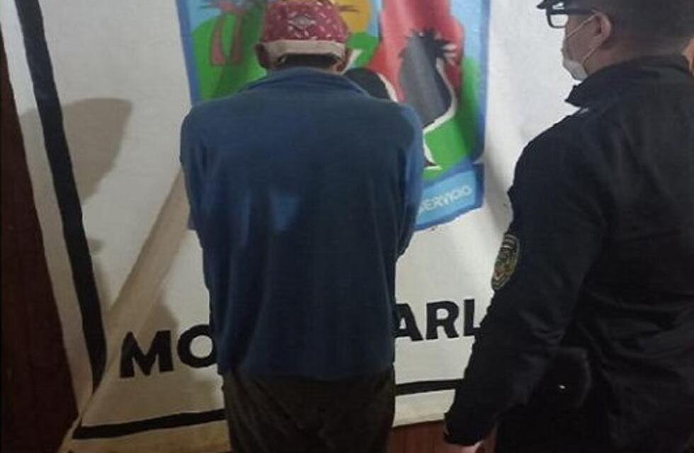 Dos hombres detenidos por delitos contra la propiedad en la zona Norte provincial